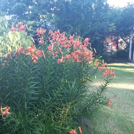 Spahn House Bed And Breakfast-2